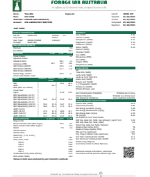 2022 Pasture Hay Round bales.  Great for cattle