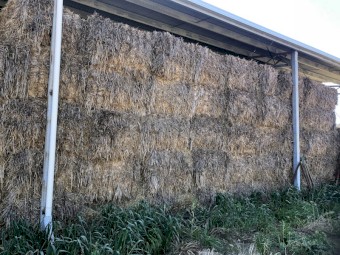 200mt Oaten Hay 8x4x3 Bales