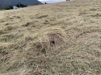 500 x Rye Grass Hay 5x4 Round Bales