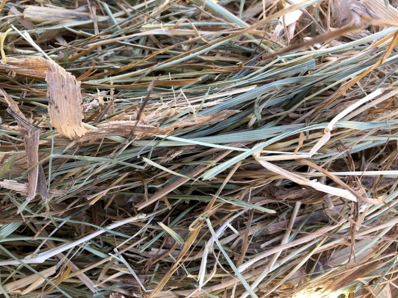 Fescue Hay Farm Tender