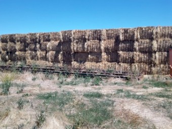 55mt Ryegrass Clover Hay 92 600kg 8x4x3 Bales