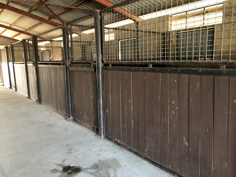 Horse Stable Panels