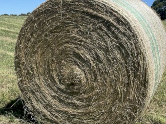 Clover rye round bales 