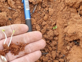 10.4m Seed Hawk 800C Air Seeder