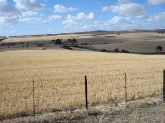 WANTED Agistment Long Term