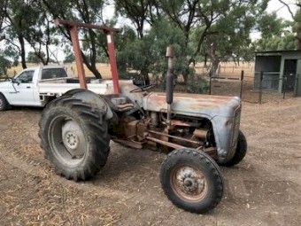 Massey Ferguson 35 (Petrol)