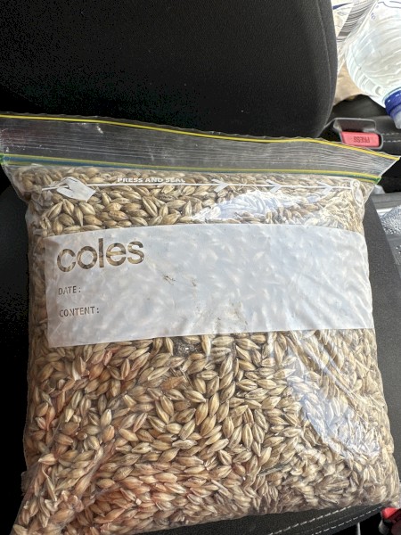 100mt BAR3 Feed Barley