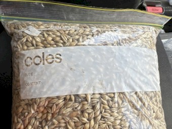 100mt BAR3 Feed Barley