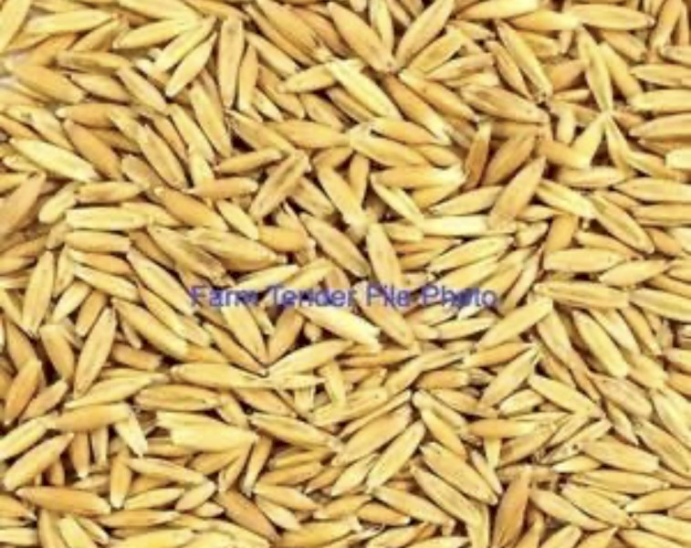 150-200mt Matika Oats