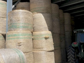 Late Season Meadow hay off iconic Barossan Thoroughbred Stud Farm. 