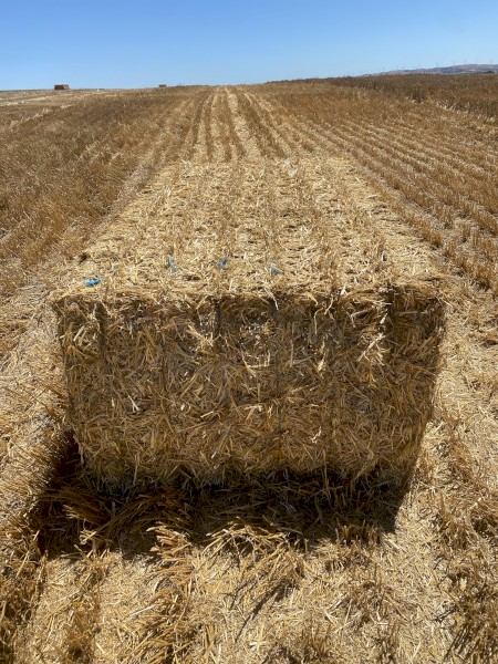 Wheaten Straw 8x4x3 Bales (New Season 22/23)