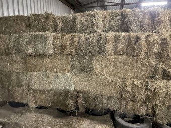 Quality  square and rounds hay bales