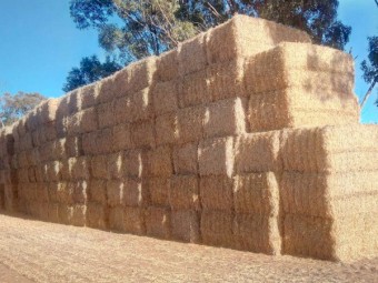Barley Straw - 8x4x3 Bale - 22/23 Season
