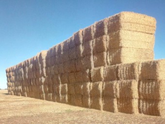 Barley Straw - 8x4x3 Bale - 22/23 Season