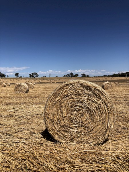 Oaten Hay Rounds