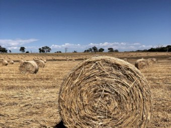 Oaten Hay Rounds