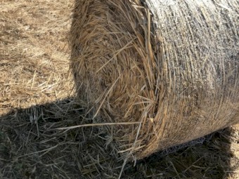 Oaten Hay Rounds