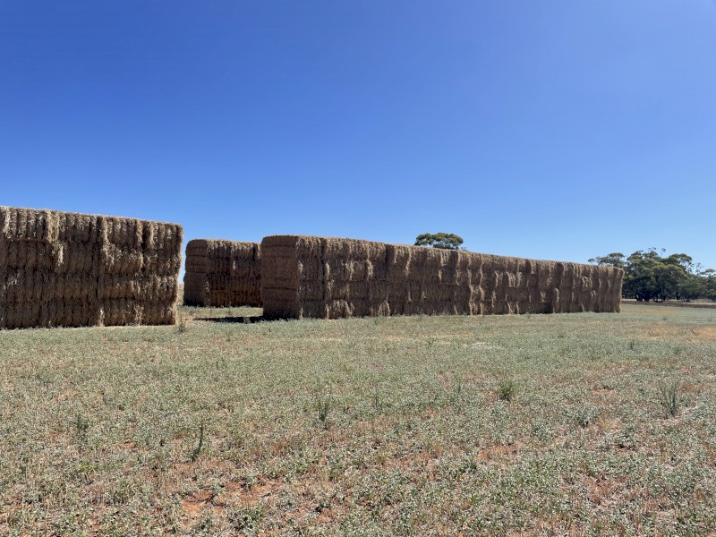 150mt Barley Hay 8x4x3 Bales (New Season 22/23)