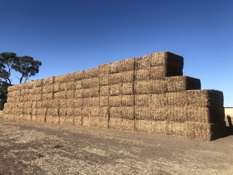 145 x Vetch Hay 680kg 8x4x3 Bales Farm Tender