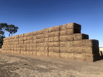 145 x Vetch Hay 680kg 8x4x3 Bales