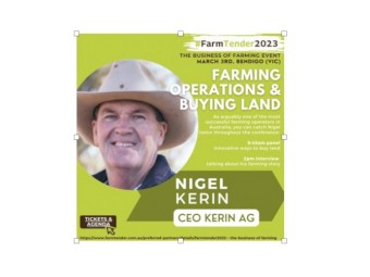 2 x Miniture Belted Galloway Females wanted