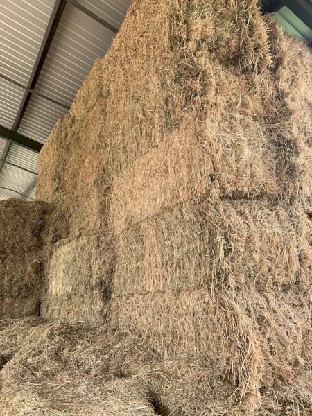 35mt Vetch Hay 8x4x3 Bales