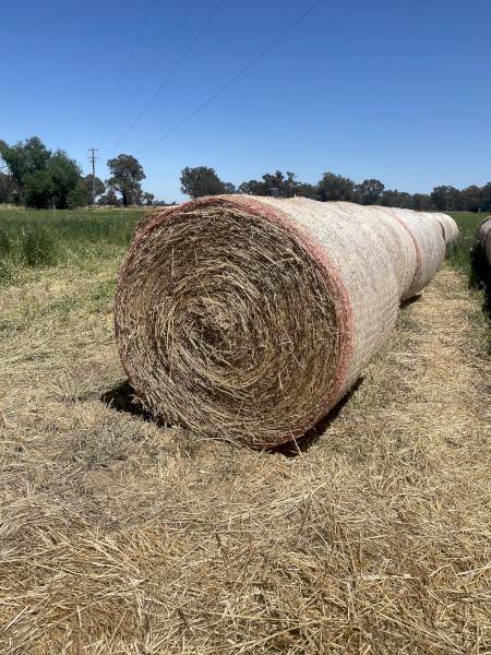 100 x Lucerne Hay 4x4 Round Bales