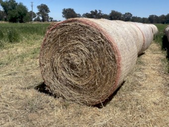 100 x Lucerne Hay 4x4 Round Bales