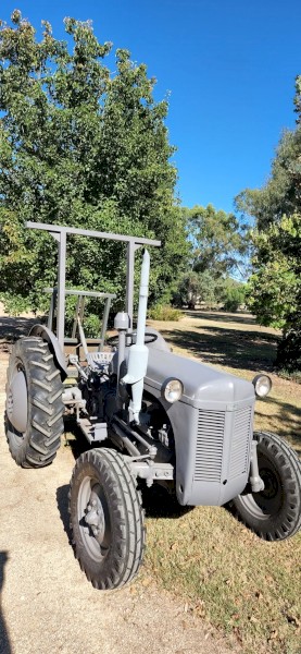 Grey  Ferguson 1954  TEF  Diesel