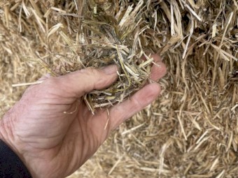 Oaten Hay 575kg 8x4x3 Bales ( Season 22/23)