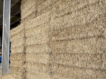 Oaten Hay 575kg 8x4x3 Bales ( Season 22/23)