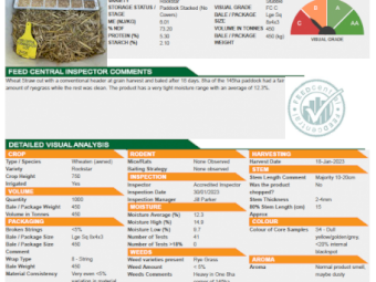 Wheat Tailings 8x4x3 bales