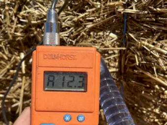 Wheat Tailings 8x4x3 bales