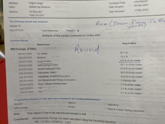 Hay Lucerne & Rye - Round bales