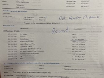 Hay Oaten x 300 bales