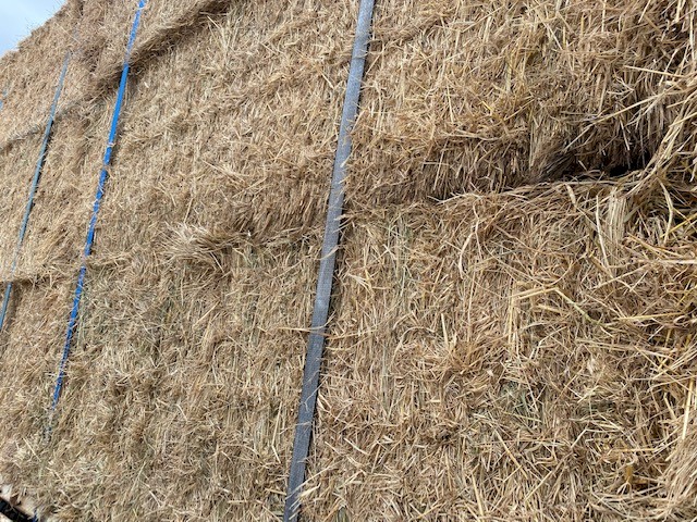 Phalaris/Rye Pasture Hay 545kg 8x4x3 HD Bales