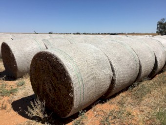 750 Vetch Hay 5x4 Rounds Bales (New Season 22/23)