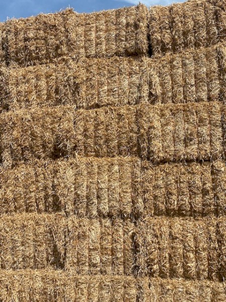 2022 Balansa Clover Hay