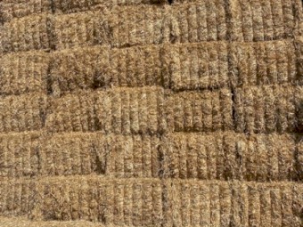 2022 Balansa Clover Hay