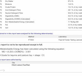 2022 Balansa Clover Hay