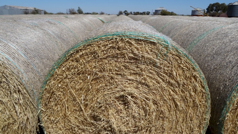 Oaten Vetch Hay 5x4 Rolls Farm Tender