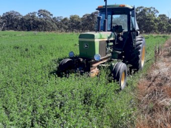 60 x Lucerne Round Bales