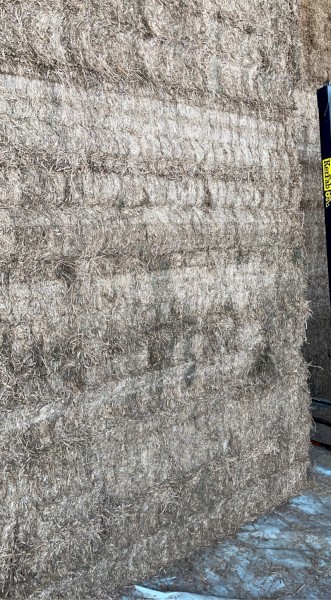 1000mt Vetch Hay 8x4x3 Shedded (22/23 season)