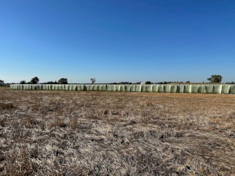 Wheat Straw/ Haylage
