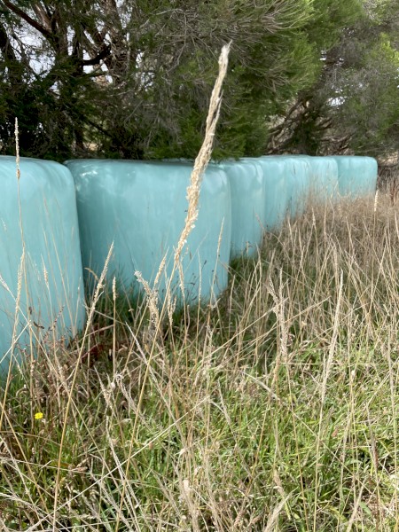 Wrapped Silage Rounds 