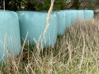 Wrapped Silage Rounds 