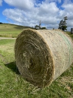 Round Pasture Hay 