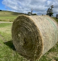 Round Pasture Hay 