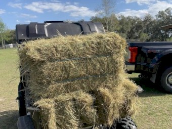 GRASS HAY FOR COWS AND HORSES