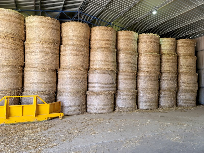 110mt Easygrazer Oaten Hay 430kg 5x4 Round Bales